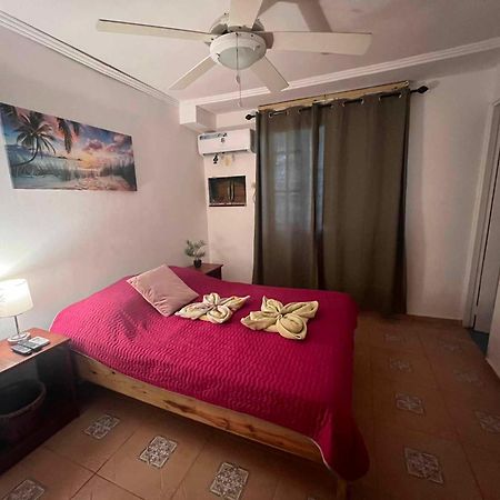 Hotel Tierra Verde Bed And Breakfast 博卡斯德尔托罗 外观 照片