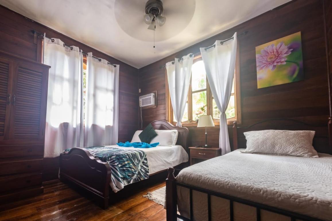 Hotel Tierra Verde Bed And Breakfast 博卡斯德尔托罗 外观 照片