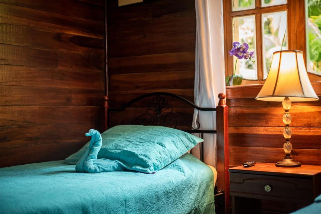 Hotel Tierra Verde Bed And Breakfast 博卡斯德尔托罗 外观 照片