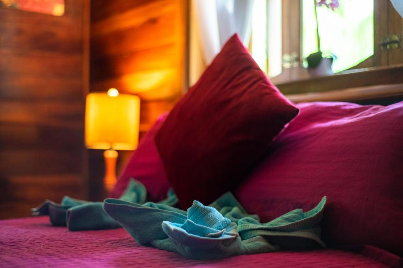 Hotel Tierra Verde Bed And Breakfast 博卡斯德尔托罗 外观 照片