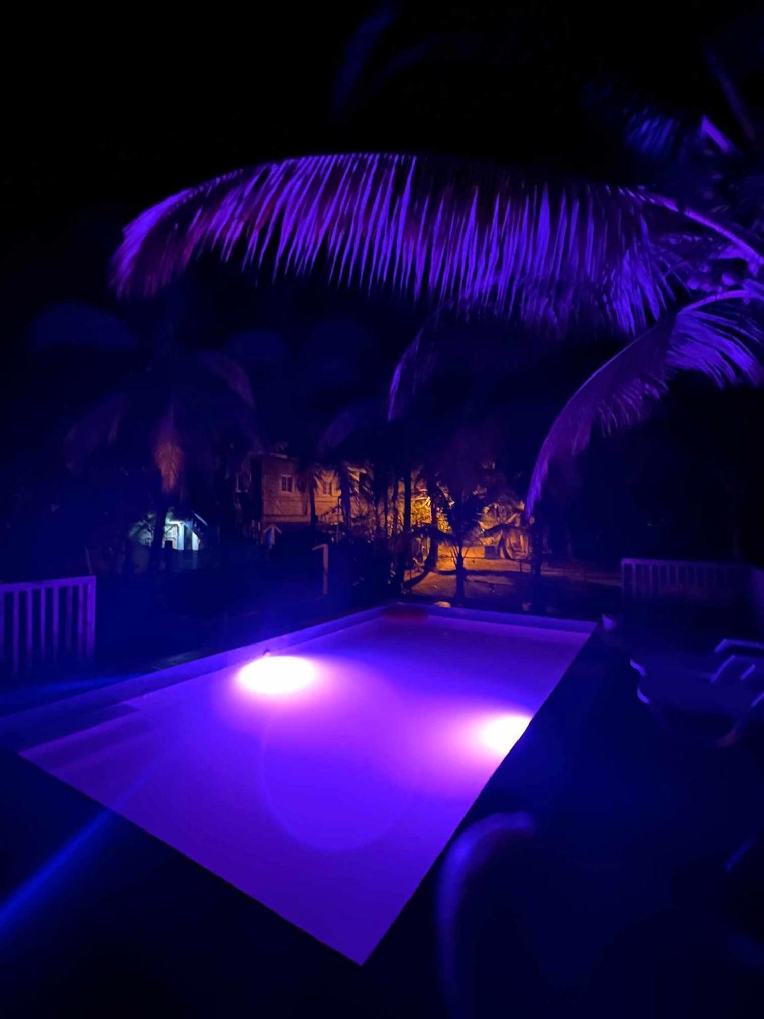 Hotel Tierra Verde Bed And Breakfast 博卡斯德尔托罗 外观 照片