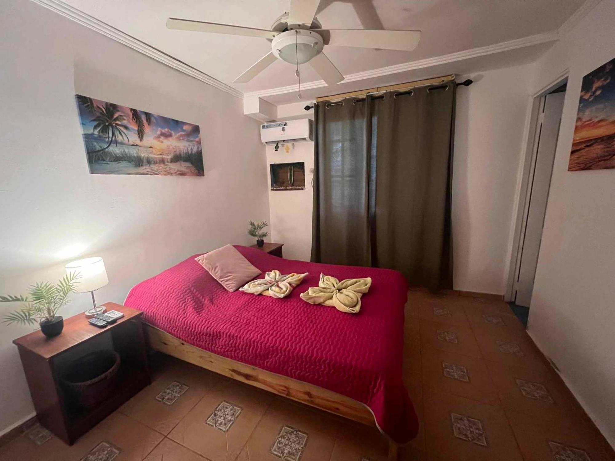 Hotel Tierra Verde Bed And Breakfast 博卡斯德尔托罗 外观 照片