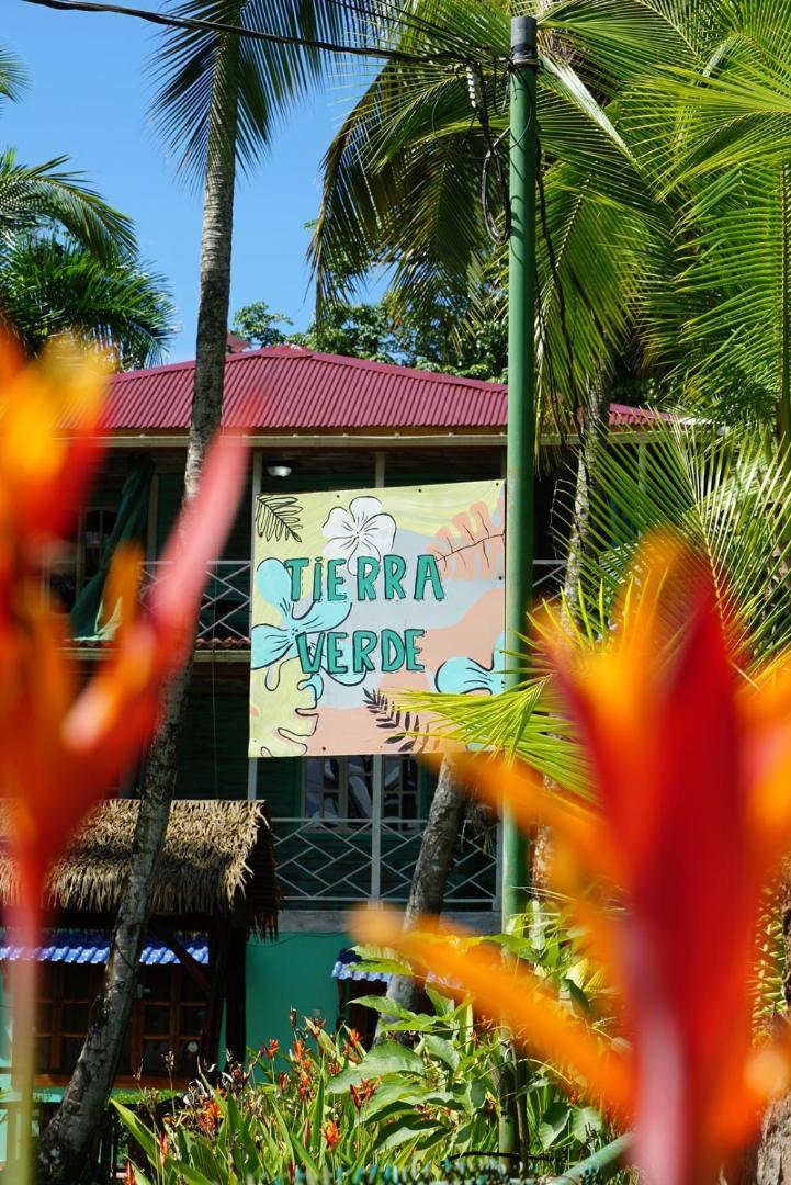 Hotel Tierra Verde Bed And Breakfast 博卡斯德尔托罗 外观 照片