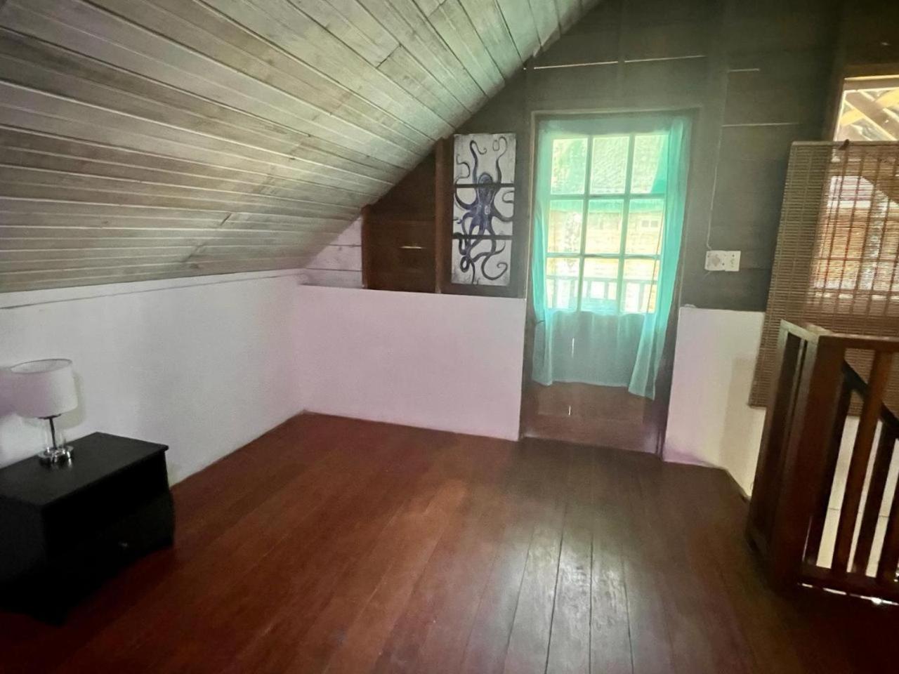 Hotel Tierra Verde Bed And Breakfast 博卡斯德尔托罗 外观 照片